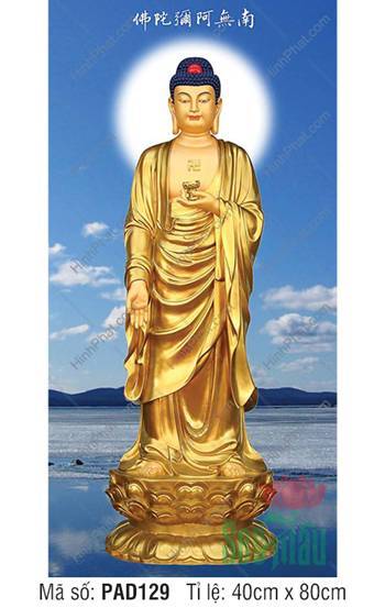Ảnh Đức Phật A Di Đà PAD129, sắc vàng kim trên hồ xanh