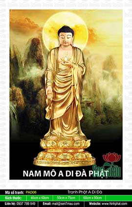 Ảnh Phật A Di Đà Chất Lượng Cao - PAD06