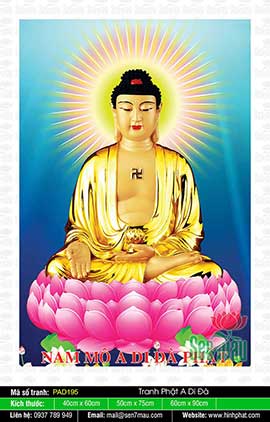 Ảnh Phật A Di Đà Chất Lượng Cao - PAD195