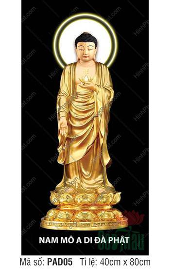 Ảnh Phật A Di Đà PAD05, y áo vàng kim trên đài sen