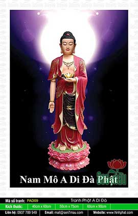 Bộ Sưu Tập Hình Ảnh Tuyệt Đẹp Về Đức Phật A Di Đà - PAD09