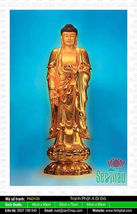 Bộ Sưu Tập Hình Ảnh Tuyệt Đẹp Về Đức Phật A Di Đà - PAD135