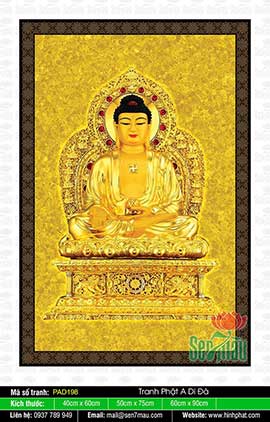 Bộ Sưu Tập Hình Ảnh Tuyệt Đẹp Về Đức Phật A Di Đà - PAD198