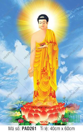 Bộ Sưu Tập Hình Ảnh Tuyệt Đẹp Về Đức Phật A Di Đà PAD261, đài sen đỏ