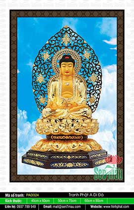 Bộ Sưu Tập Hình Ảnh Tuyệt Đẹp Về Đức Phật A Di Đà PAD324