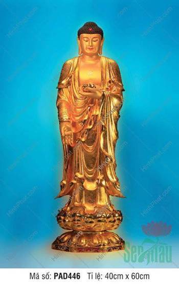 Bộ Sưu Tập Hình Ảnh Tuyệt Đẹp Về Đức Phật A Di Đà PAD446, y vàng