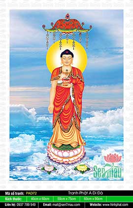 Bộ Sưu Tập Hình Ảnh Tuyệt Đẹp Về Đức Phật A Di Đà - PAD72