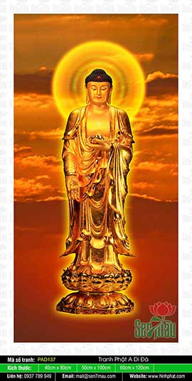 Đức Phật A Di Đà Đẹp - PAD137