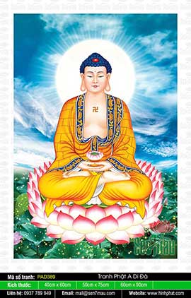 Đức Phật A Di Đà Đẹp PAD389