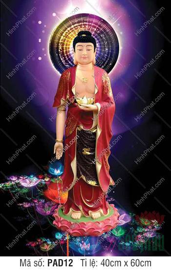 Đức Phật A Di Đà PAD12, dáng đứng y đỏ đài sen hồng nền tím