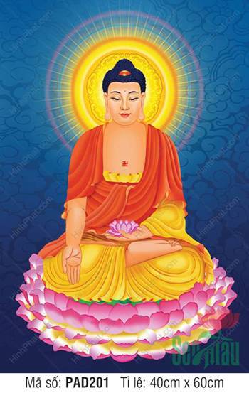 Đức Phật A Di Đà PAD201, Tọa Tòa Sen Hồng Tỏa Hào Quang