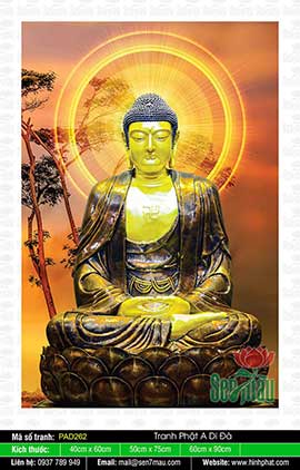 Đức Phật A Di Đà - PAD262
