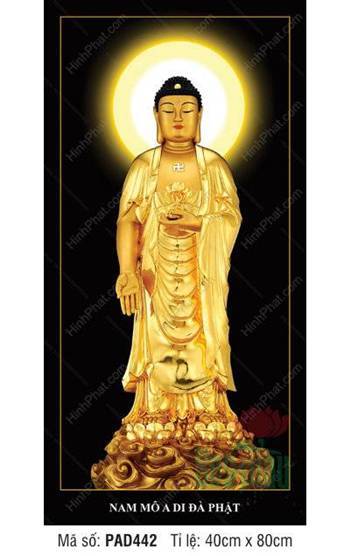 Đức Phật A-di-đà PAD442, Y Phục Vàng Kim Nền Đen