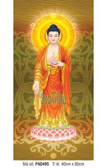 Hình A Di Đà Đẹp PAD495, Hình Ảnh Đức Phật A Di Đà
