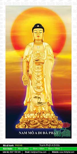 Hình A Di Đà Phật Chất Lượng Cao - PAD140