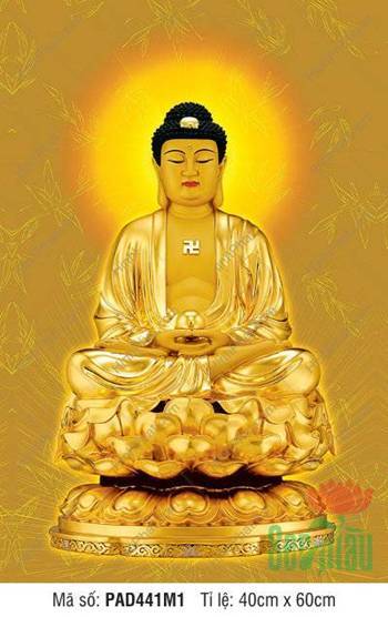 Hình A Di Đà Phật Chất Lượng Cao PAD441M1, Áo Vàng Kim Ngồi Sen