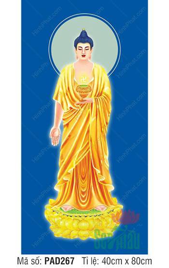 Hình A Di Đà Phật Đẹp PAD267, Dáng Đứng Áo Vàng Nền Xanh