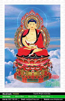 Hình Ảnh Đức Phật A Di Đà Đẹp Nhất PAD208