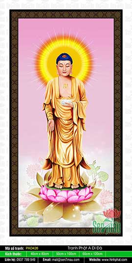 Hình Ảnh Đức Phật A Di Đà Đẹp Nhất PAD426