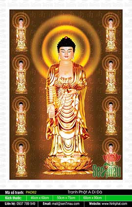 Hình Ảnh Đức Phật A Di Đà Đẹp Nhất - PAD82