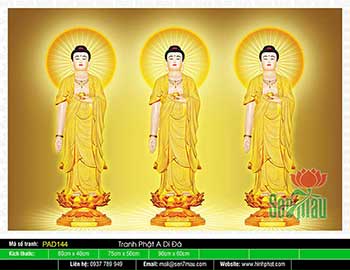 Hình Ảnh Đức Phật A Di Đà Đẹp - PAD144