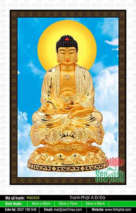 Hình Ảnh Đức Phật A Di Đà Đẹp PAD333