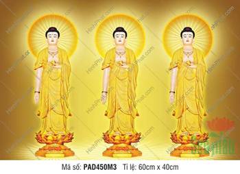Hình Ảnh Đức Phật A Di Đà Đẹp PAD450M3, ba tôn tượng trên nền vàng ấm