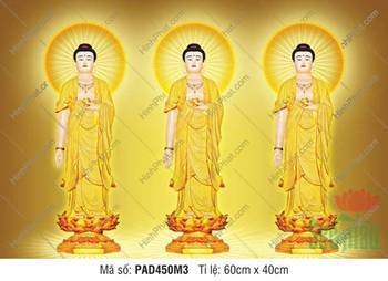 Hình Ảnh Đức Phật A Di Đà Đẹp PAD450M3, ba dáng đứng ngự đài sen