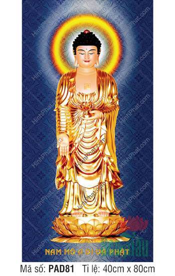 Hình Ảnh Đức Phật A Di Đà Đẹp PAD81, đứng trên tòa sen vàng