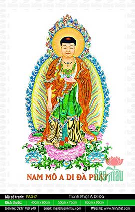 Hình Ảnh Đức Phật A Di Đà - PAD17