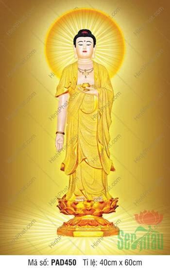 Hình Ảnh Đức Phật A Di Đà PAD450, tôn tượng vàng dưới hào quang
