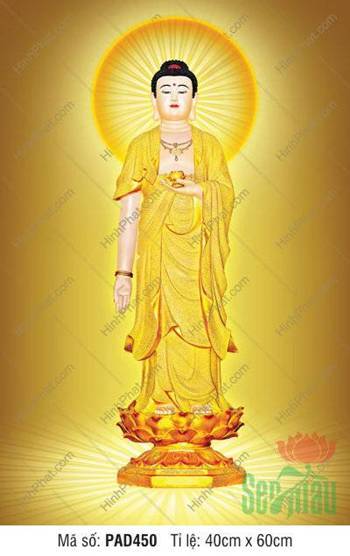Hình Ảnh Đức Phật A Di Đà PAD450, dáng đứng y vàng hào quang