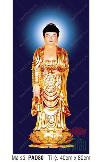 Hình Ảnh Đức Phật A Di Đà PAD80, tỏa sắc vàng kim ngự đài sen