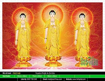 Hinh Anh Nam Mô A Di Đà Phật - PAD146