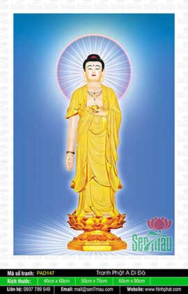 Hình Ảnh Nam Mô A Di Đà Phật - PAD147