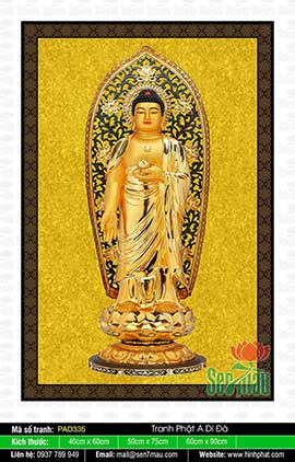 Hinh Anh Nam Mô A Di Đà Phật PAD335