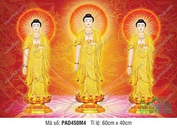 Hinh Anh Nam Mô A Di Đà Phật PAD450M4, ba tôn tượng vàng nền đỏ