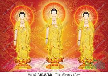 Hinh Anh Nam Mô A Di Đà Phật PAD450M4, ba hình Đức Phật nền đỏ
