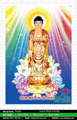 Hinh Anh Nam Mô A Di Đà Phật - PAD83