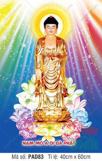 Hinh Anh Nam Mô A Di Đà Phật PAD83, y vàng sắc cầu vồng