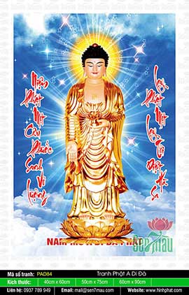 Hình Ảnh Nam Mô A Di Đà Phật - PAD84