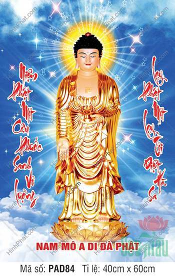 Hình Ảnh Nam Mô A Di Đà Phật PAD84, ngự tòa sen y hoàng kim