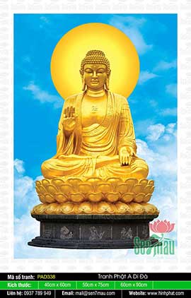 Hình Ảnh Phật A Di Đà - Hình Phật Đẹp PAD338