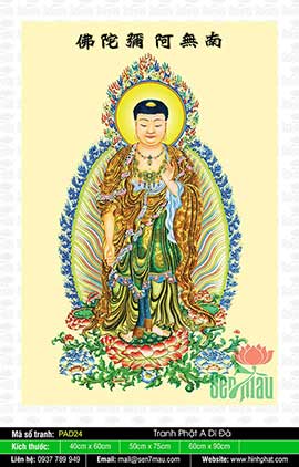 Hình Ảnh Phật A Di Đà Chất Lượng Cao - PAD24