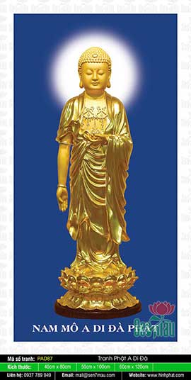 Hình Ảnh Phật A Di Đà Chất Lượng Cao - PAD87