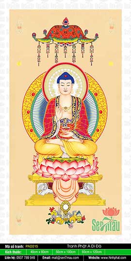 Hình Ảnh Phật A Di Đà Đẹp Nhất  PAD215