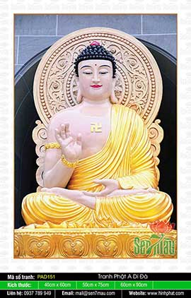 Hình Ảnh Phật A Di Đà Đẹp - PAD151