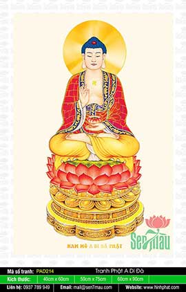 Hình Ảnh Phật A Di Đà Đẹp PAD214