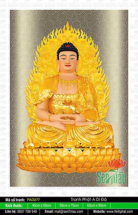 Hình Ảnh Phật A Di Đà Đẹp - PAD277