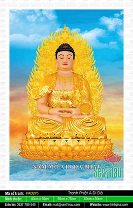 Hình Ảnh Phật A Di Đà - Hình Phật Đẹp - PAD275